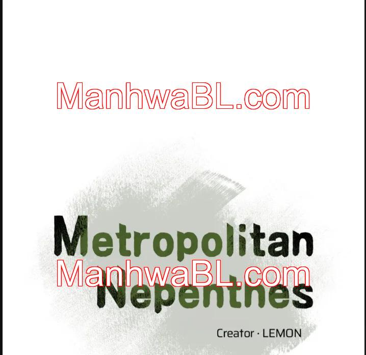 Metropolitan Nepenthes - Capítulo 17 manhwa