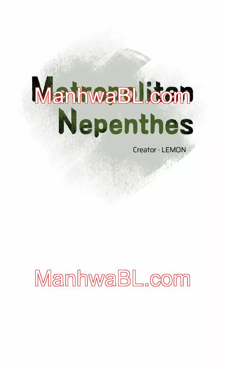 Metropolitan Nepenthes - Capítulo 1 manhwa
