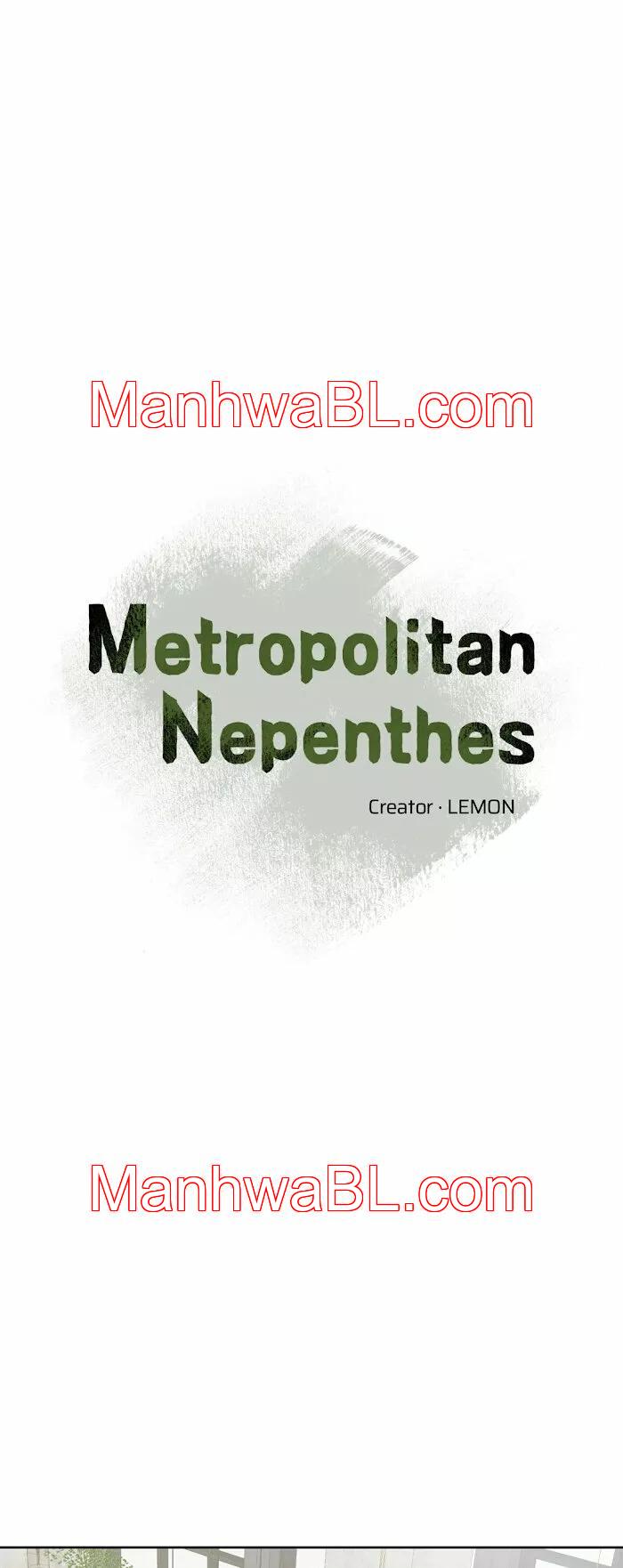 Metropolitan Nepenthes - Capítulo 11.2 manhwa