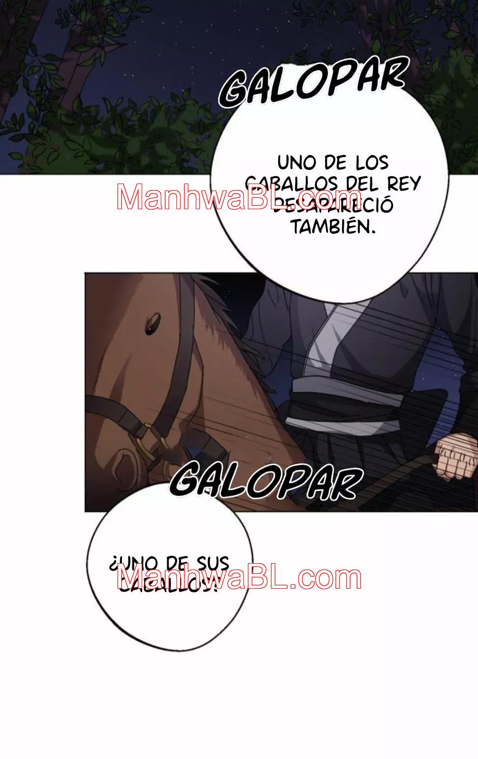 The King’s Bodyguard - Capítulo 5.00 manhwa