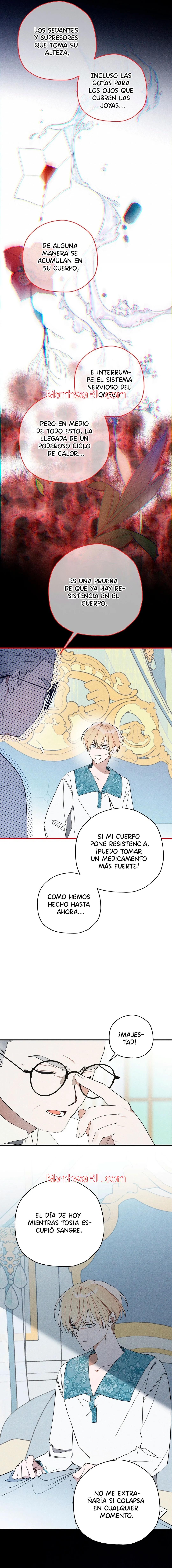 Ocultando que el maldito príncipe es un omega - Capítulo 8 manhwa