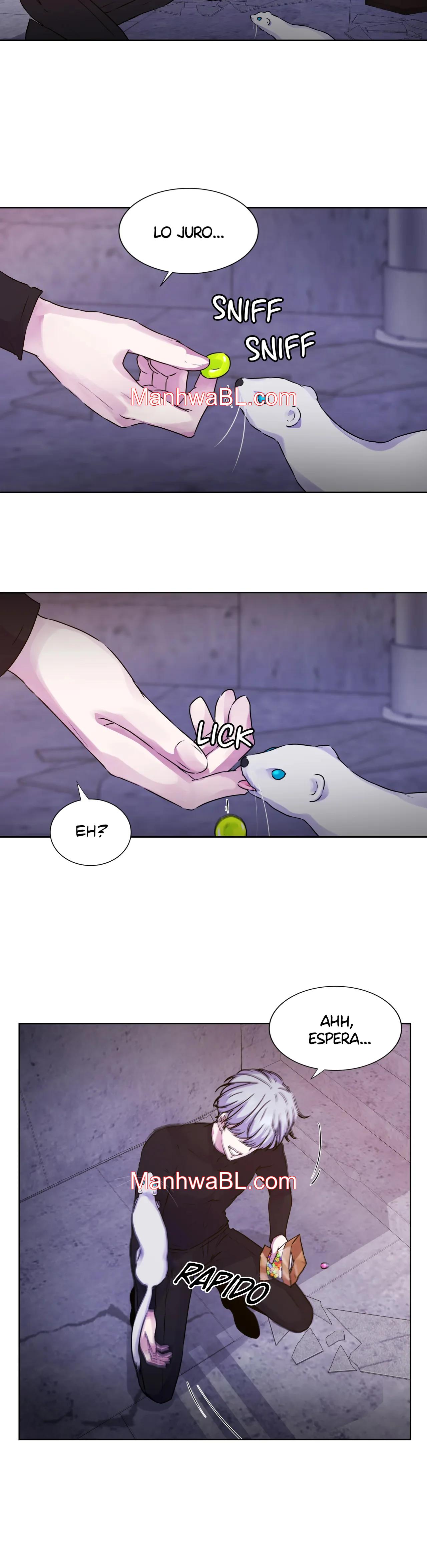 Luz del guía - Capítulo 11.00 manhwa
