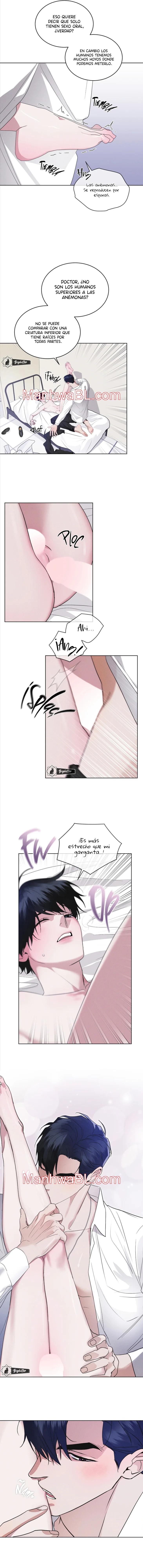 Rainbow City - Capítulo 48.00 manhwa