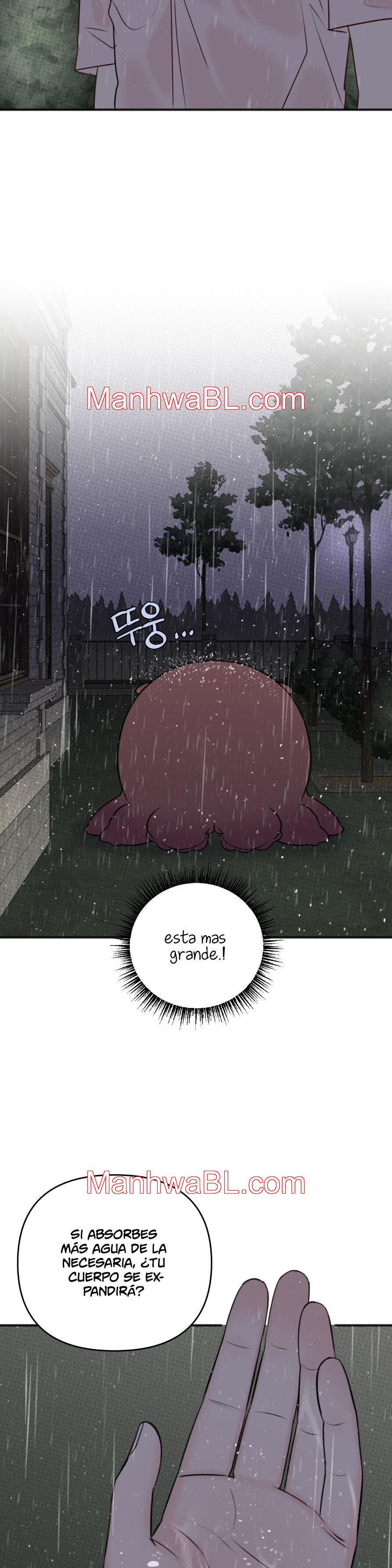 Alerta De Lluvia - Capítulo 5 manhwa