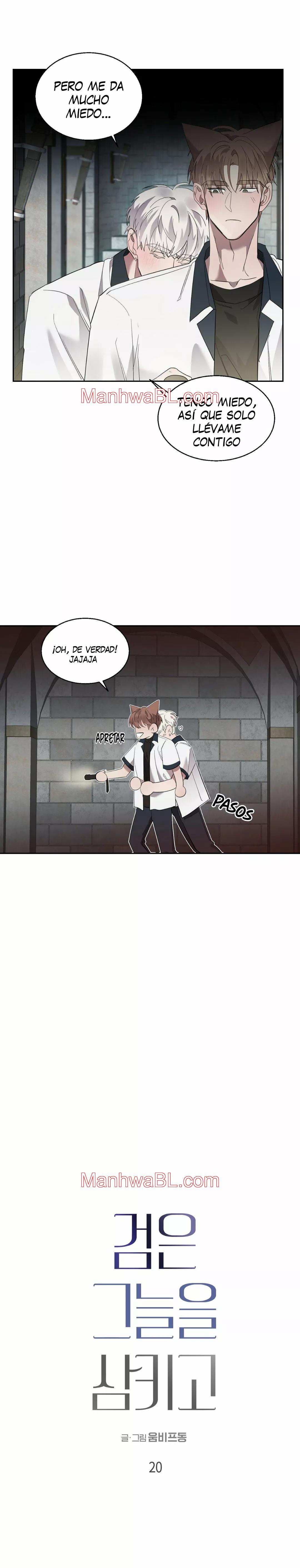 La espada que absorbe la oscuridad - Capítulo 20 manhwa