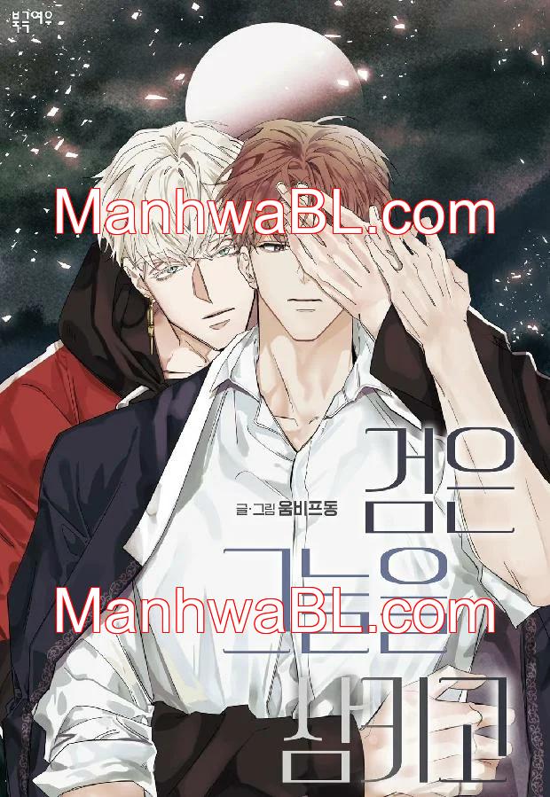 La espada que absorbe la oscuridad - Capítulo 29 manhwa
