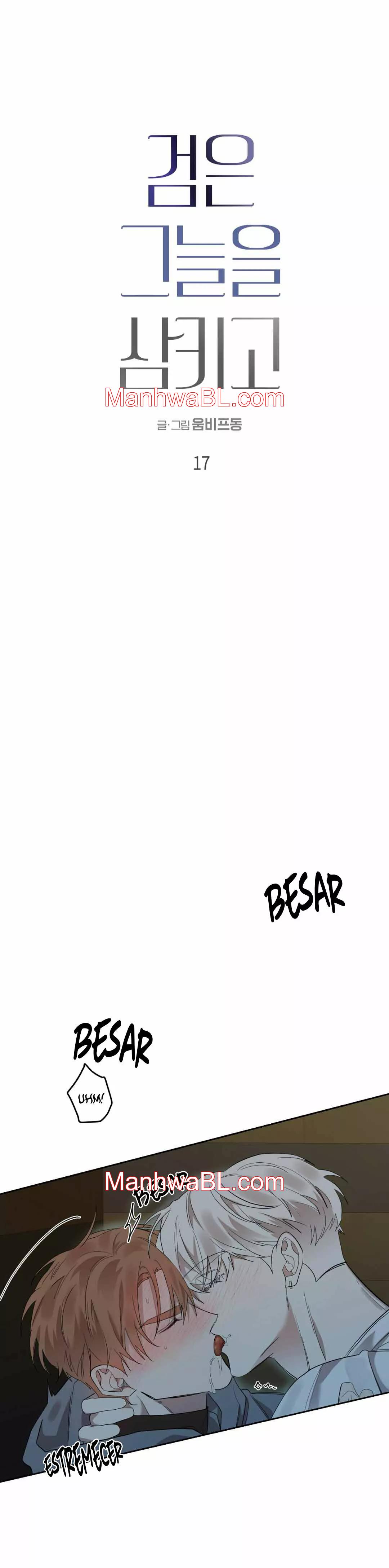 La espada que absorbe la oscuridad - Capítulo 17 manhwa
