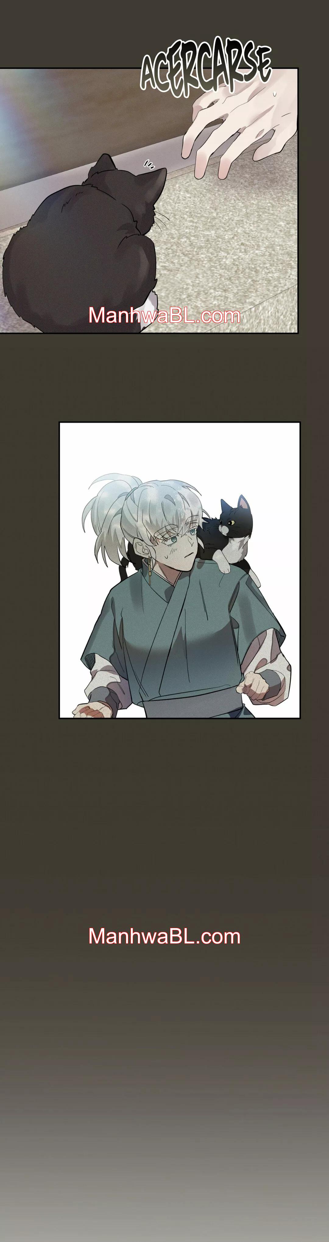 La espada que absorbe la oscuridad - Capítulo 14 manhwa