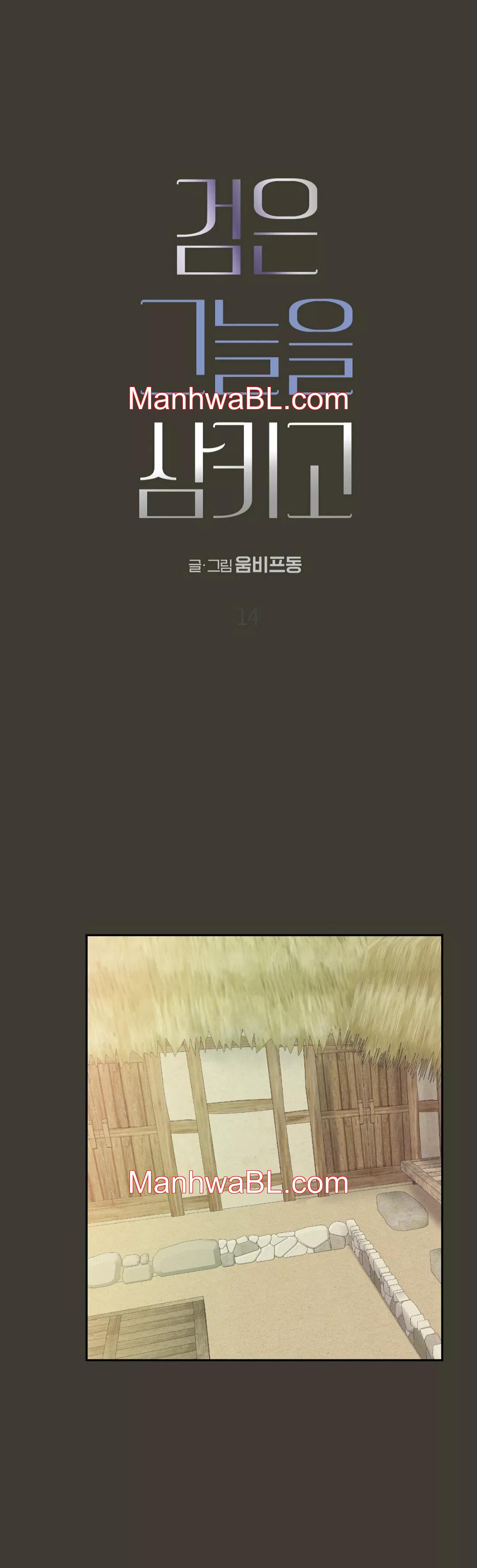 La espada que absorbe la oscuridad - Capítulo 14 manhwa