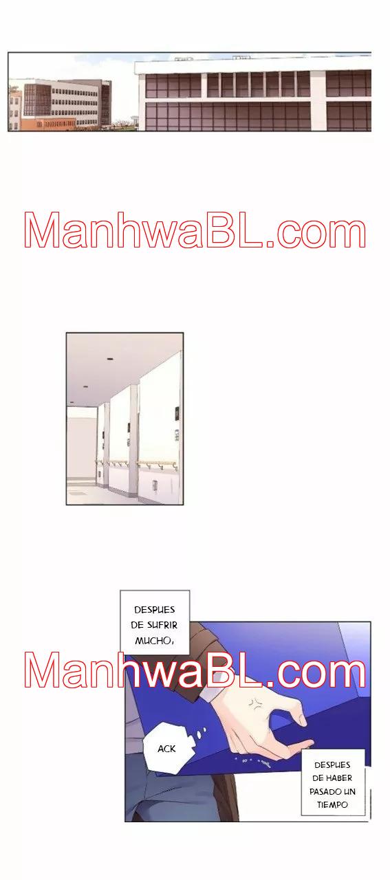 Novios por 4 semanas - Capítulo 35 manhwa