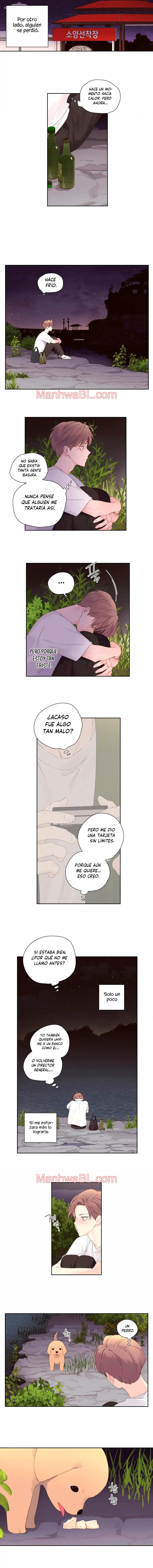Novios por 4 semanas - Capítulo 84 manhwa