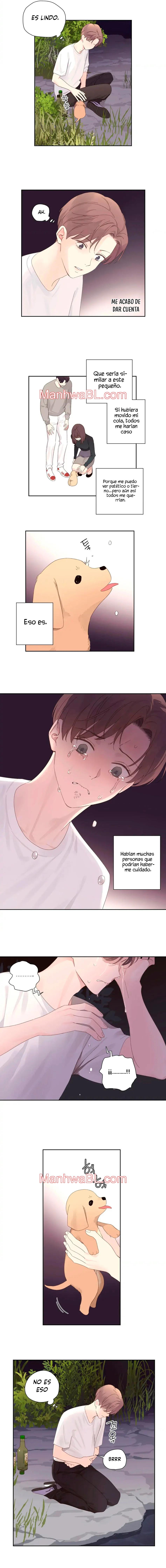 Novios por 4 semanas - Capítulo 84 manhwa