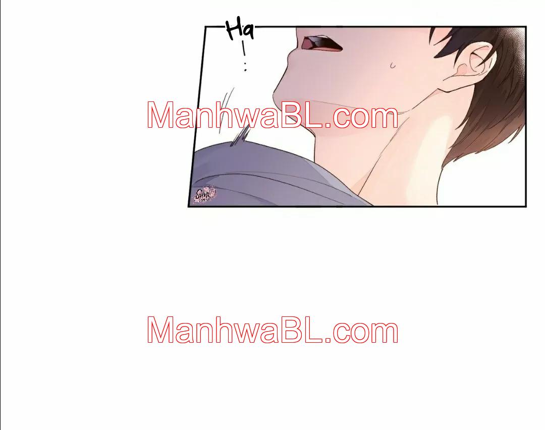 Novios por 4 semanas - Capítulo 18 manhwa