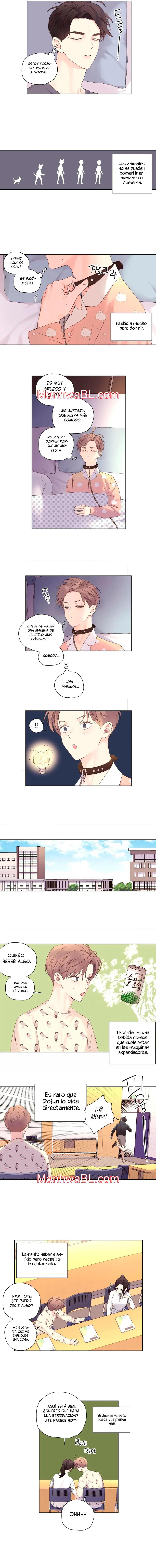 Novios por 4 semanas - Capítulo 88 manhwa