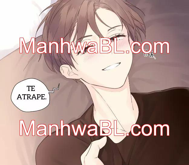 Novios por 4 semanas - Capítulo 22 manhwa