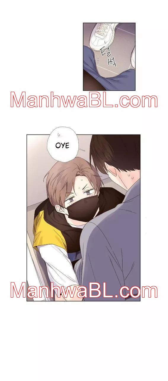 Novios por 4 semanas - Capítulo 41 manhwa