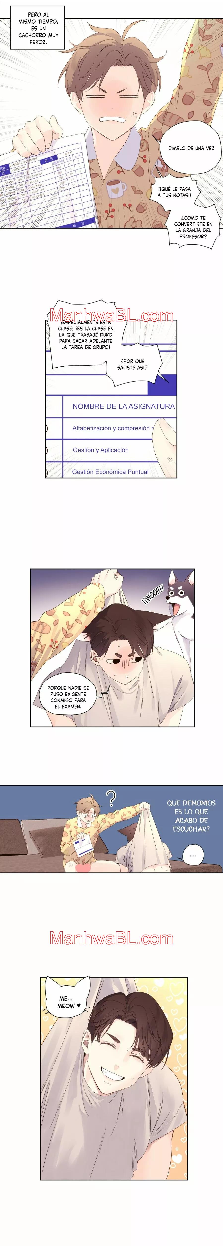 Novios por 4 semanas - Capítulo 65 manhwa