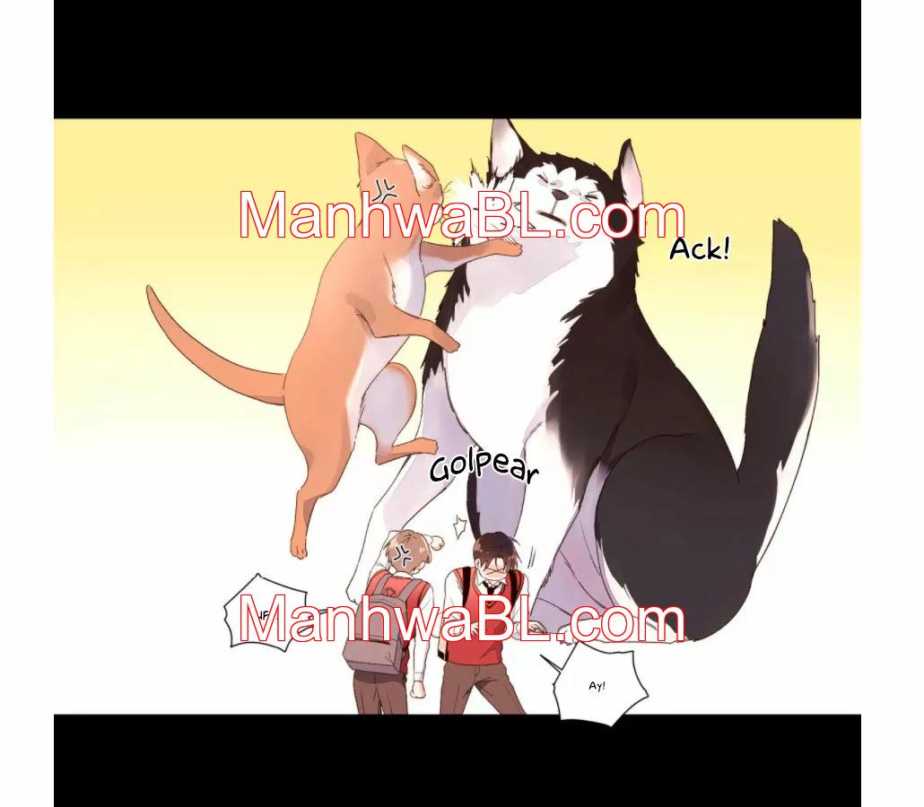 Novios por 4 semanas - Capítulo 29 manhwa