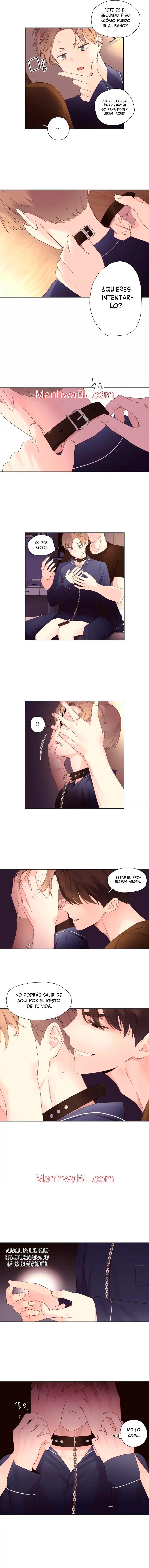 Novios por 4 semanas - Capítulo 71 manhwa