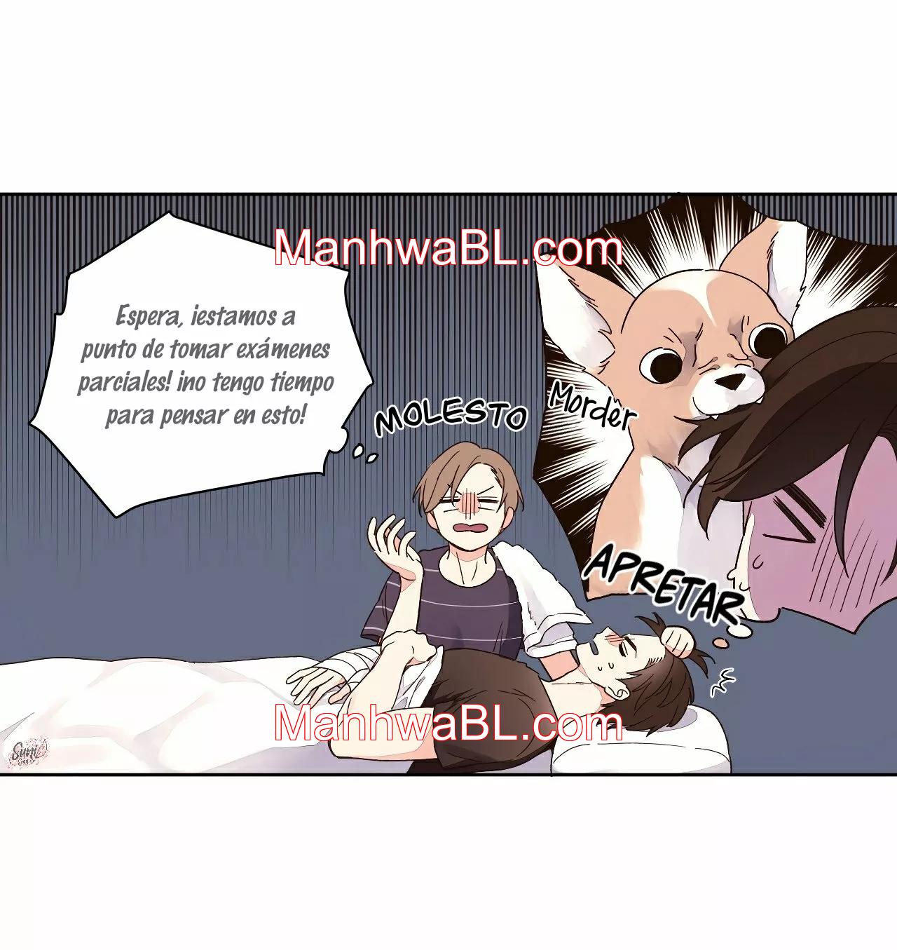 Novios por 4 semanas - Capítulo 11 manhwa