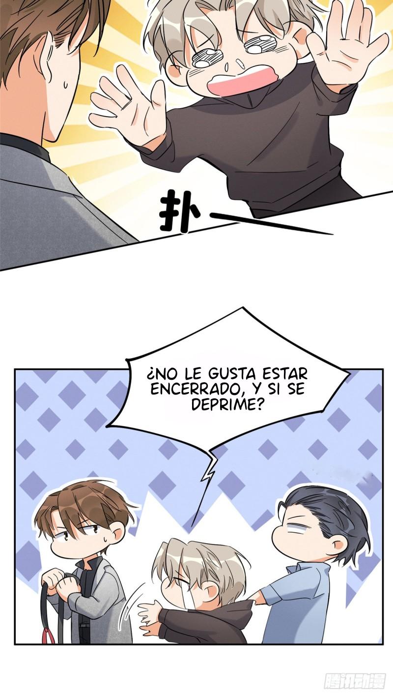 Tengo que trabajar duro para ser un gato hoy! - capitulo 27 manhwa