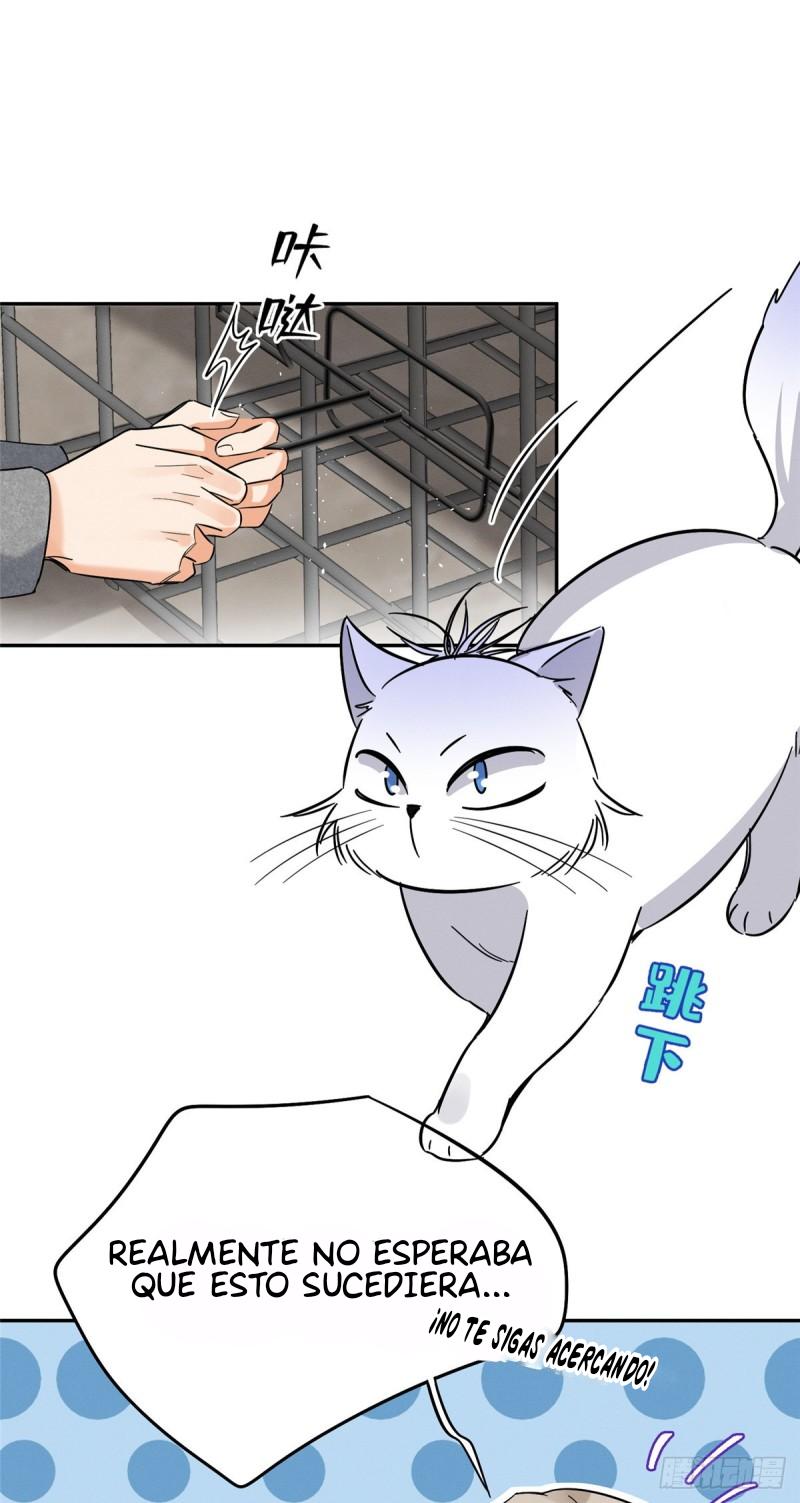 Tengo que trabajar duro para ser un gato hoy! - capitulo 27 manhwa