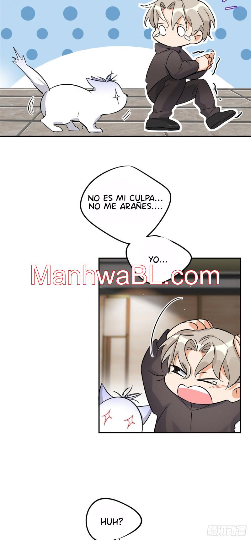 Tengo que trabajar duro para ser un gato hoy! - capitulo 27 manhwa