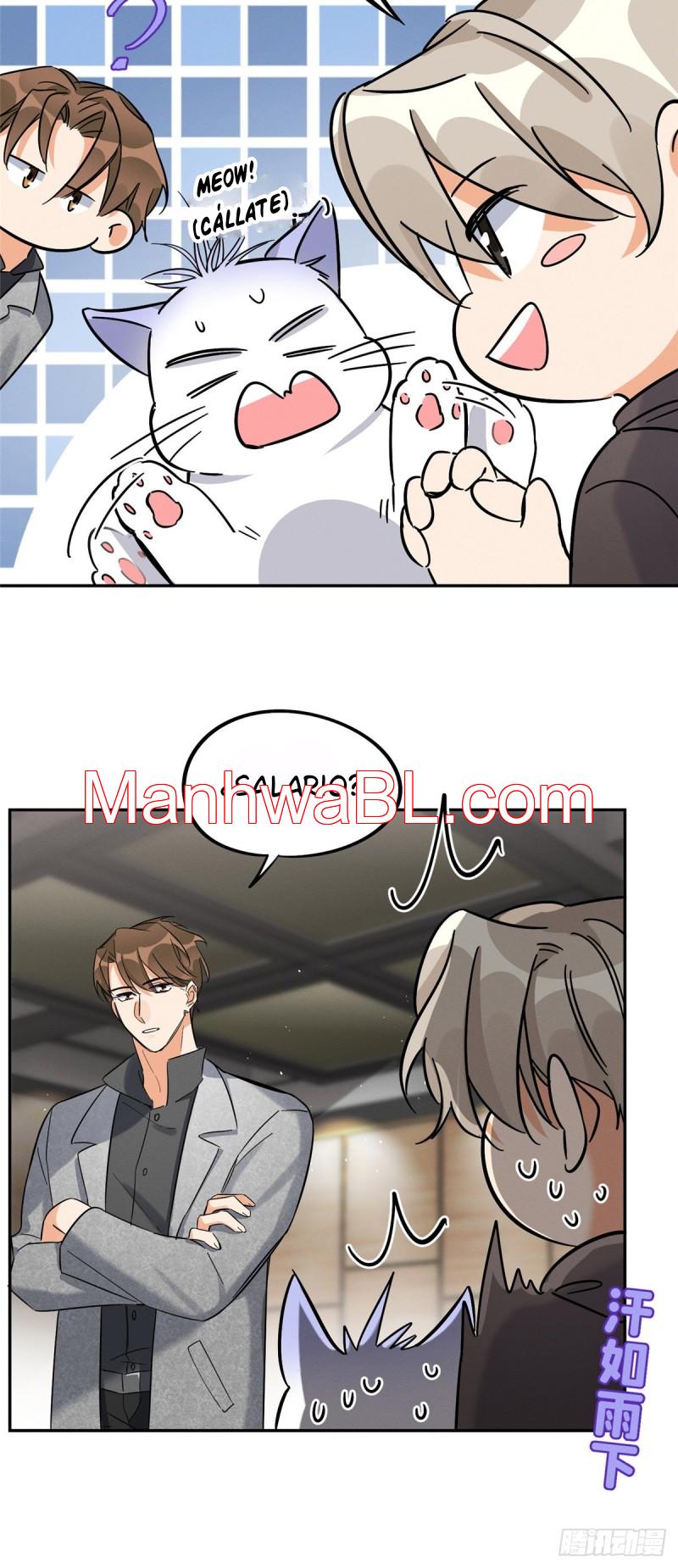Tengo que trabajar duro para ser un gato hoy! - capitulo 27 manhwa