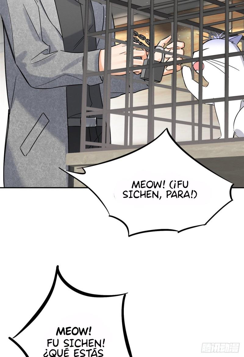Tengo que trabajar duro para ser un gato hoy! - capitulo 27 manhwa