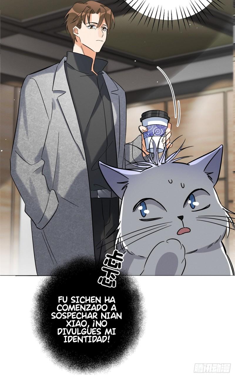 Tengo que trabajar duro para ser un gato hoy! - capitulo 27 manhwa
