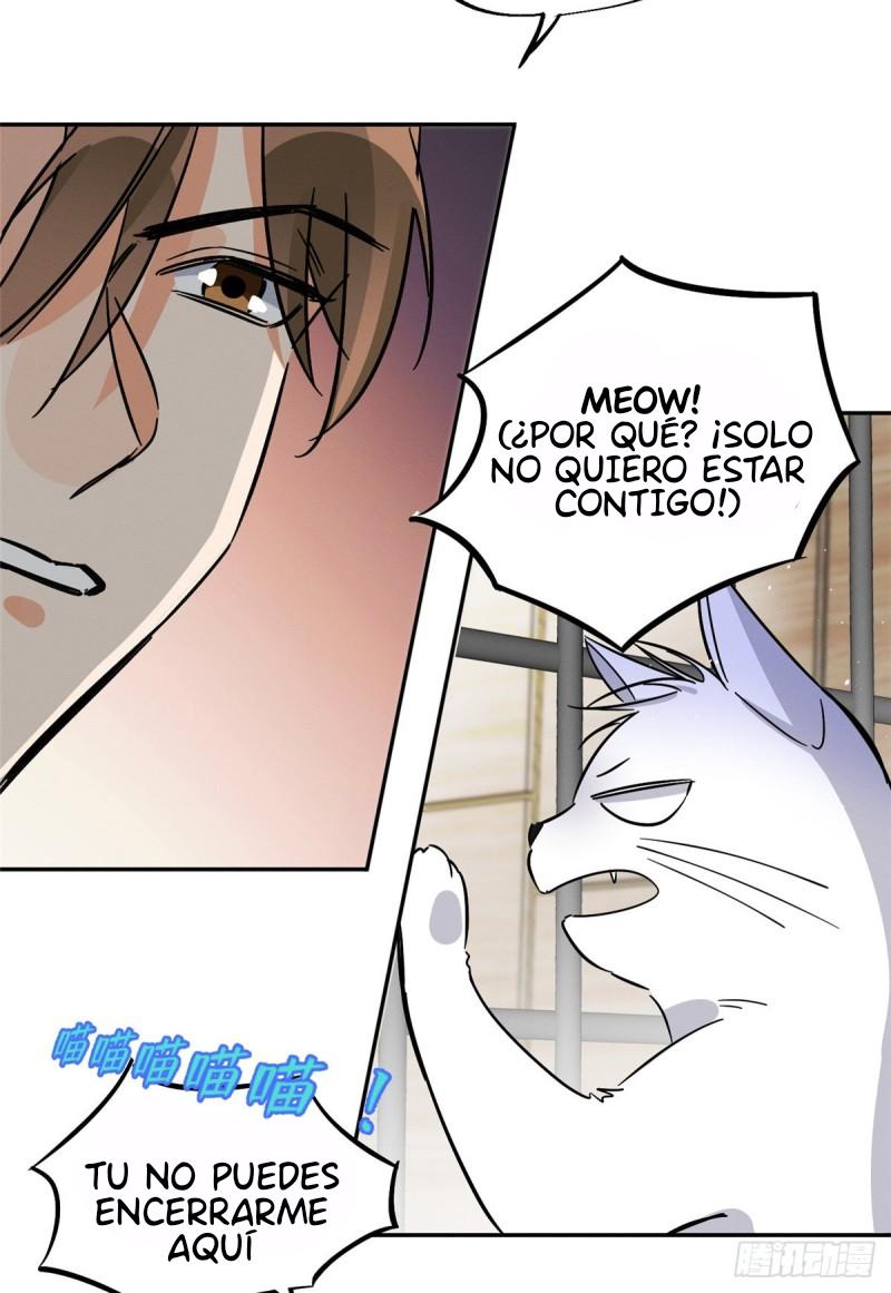 Tengo que trabajar duro para ser un gato hoy! - capitulo 27 manhwa