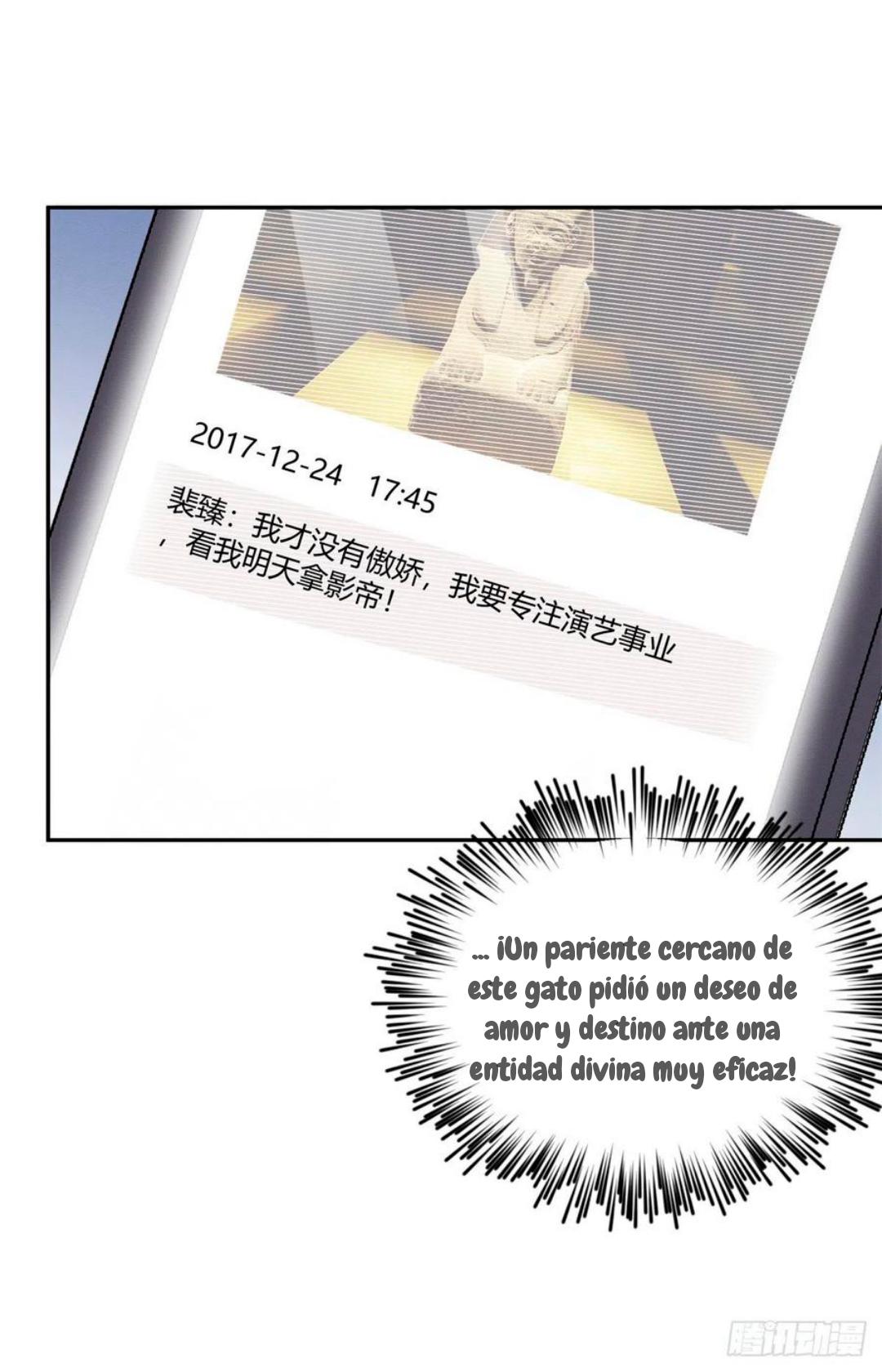 Tengo que trabajar duro para ser un gato hoy! - capitulo 50 manhwa