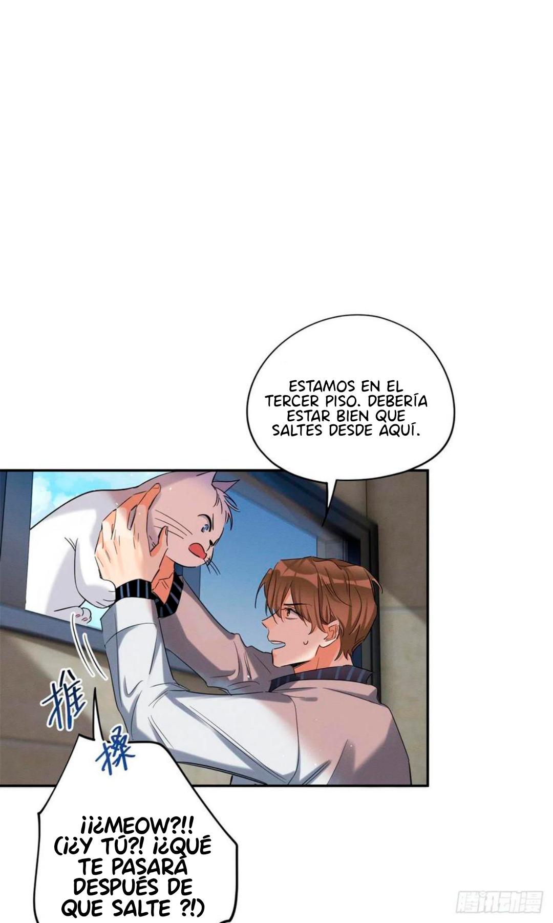 Tengo que trabajar duro para ser un gato hoy! - capitulo 50 manhwa