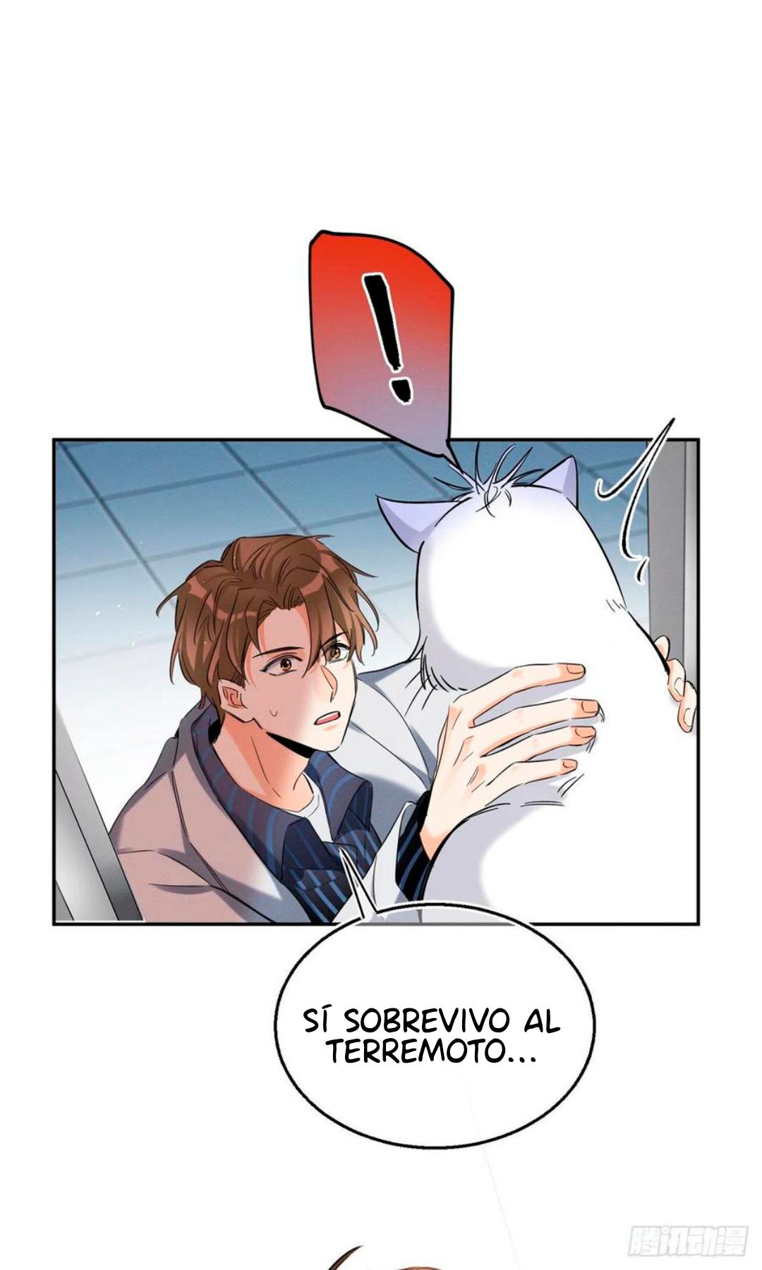 Tengo que trabajar duro para ser un gato hoy! - capitulo 50 manhwa