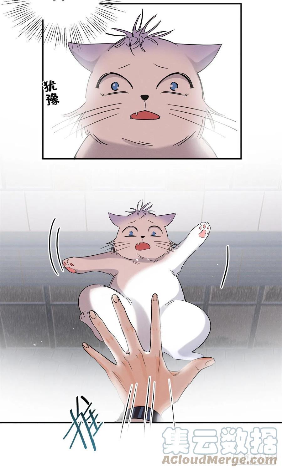 Tengo que trabajar duro para ser un gato hoy! - capitulo 50 manhwa