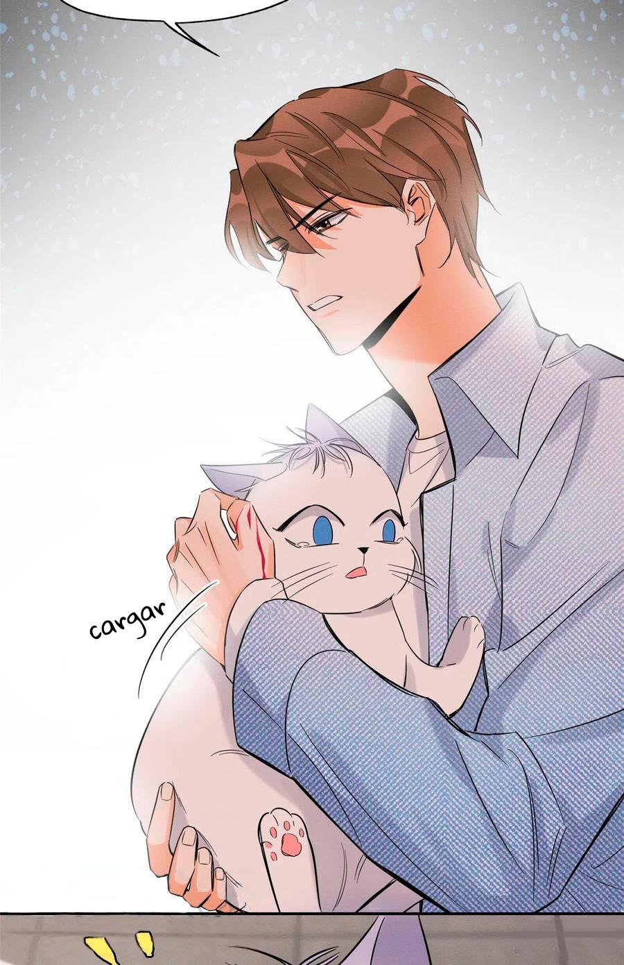 Tengo que trabajar duro para ser un gato hoy! - capitulo 40 manhwa