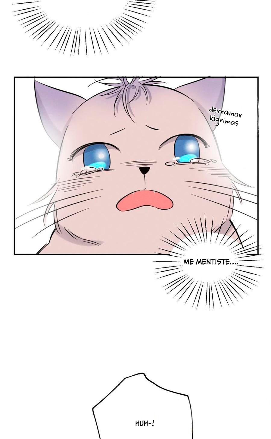 Tengo que trabajar duro para ser un gato hoy! - capitulo 40 manhwa