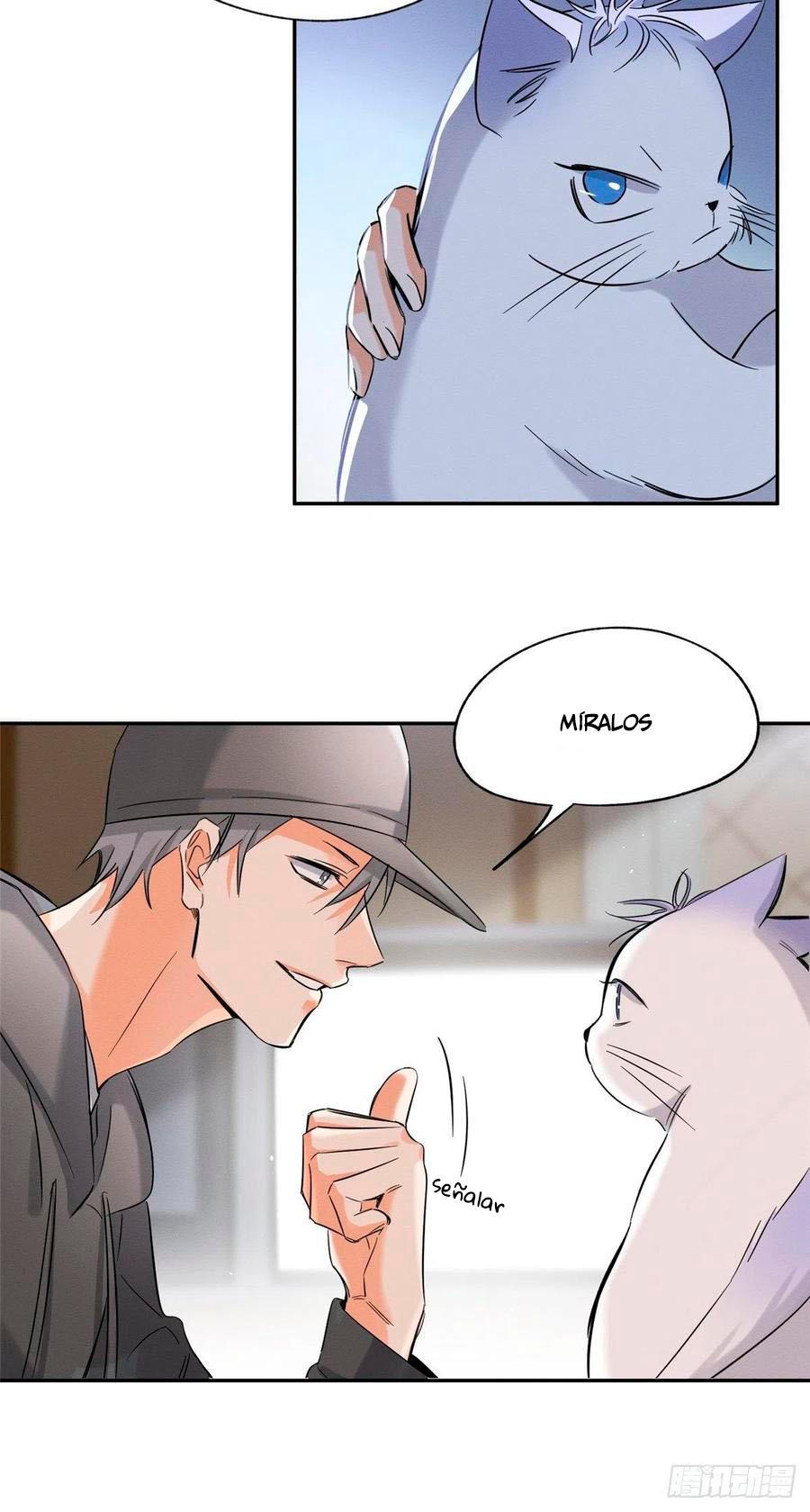 Tengo que trabajar duro para ser un gato hoy! - capitulo 40 manhwa