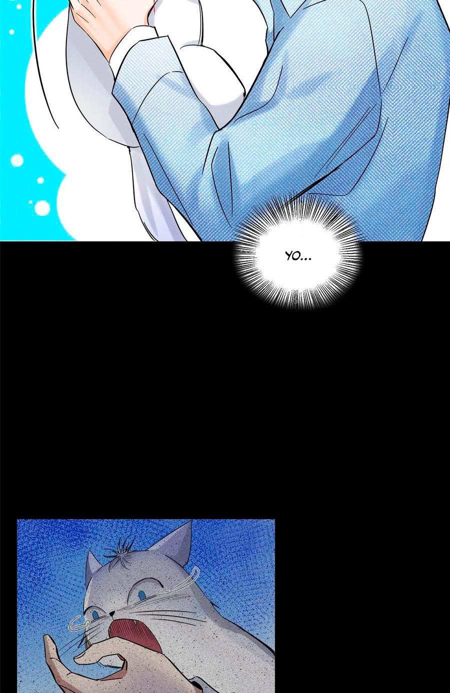Tengo que trabajar duro para ser un gato hoy! - capitulo 40 manhwa