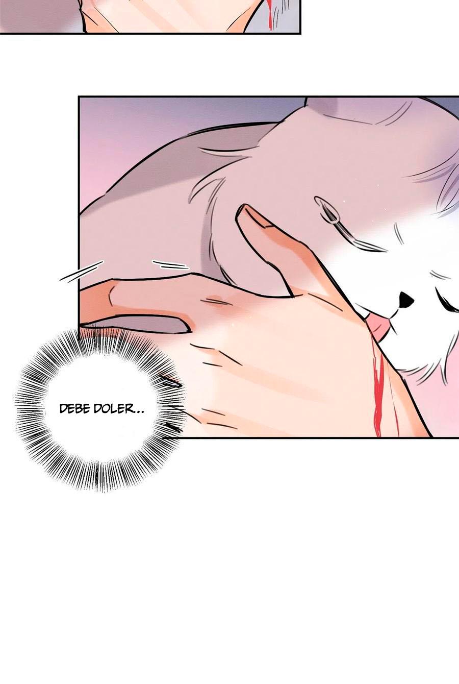 Tengo que trabajar duro para ser un gato hoy! - capitulo 40 manhwa