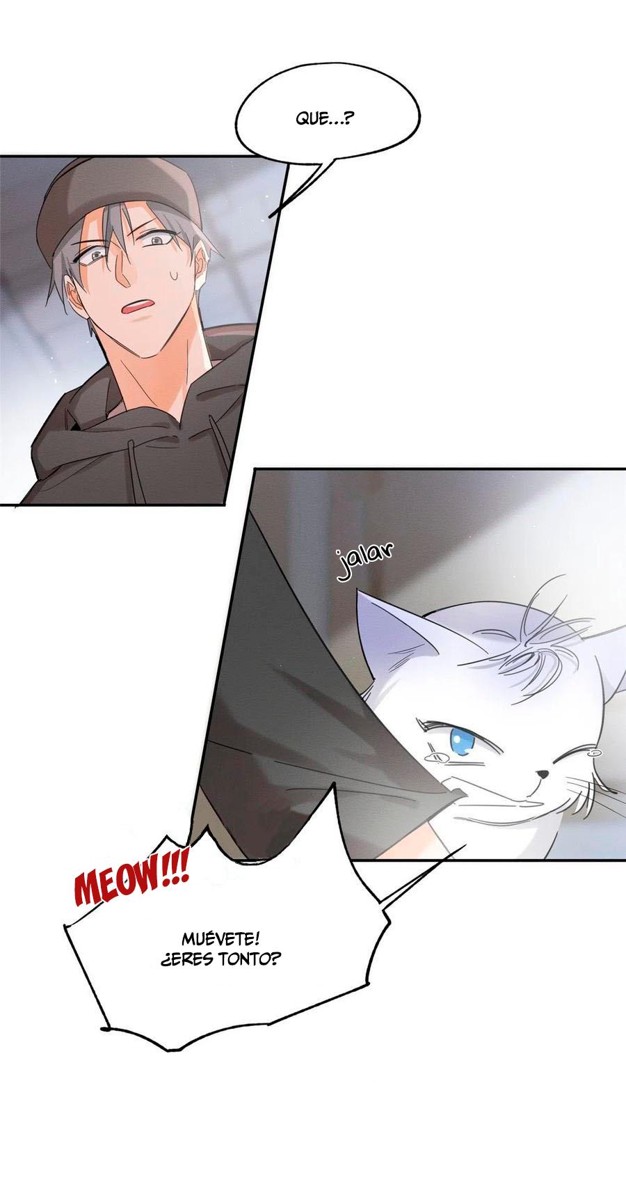 Tengo que trabajar duro para ser un gato hoy! - capitulo 40 manhwa