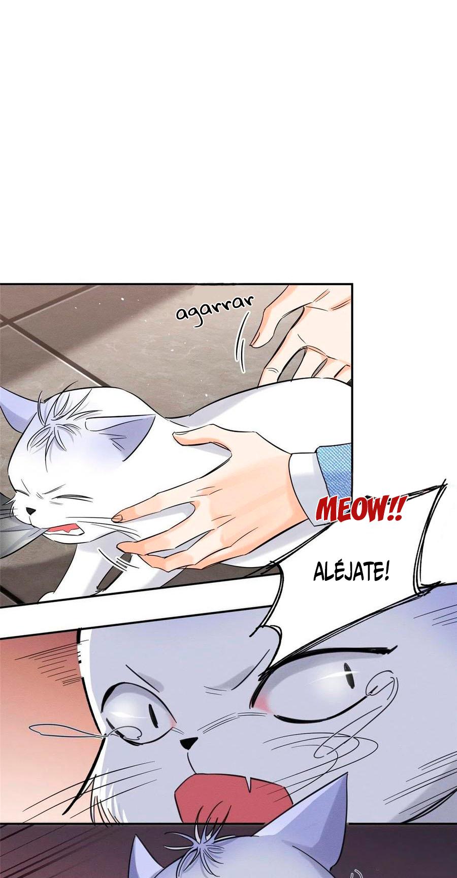 Tengo que trabajar duro para ser un gato hoy! - capitulo 40 manhwa