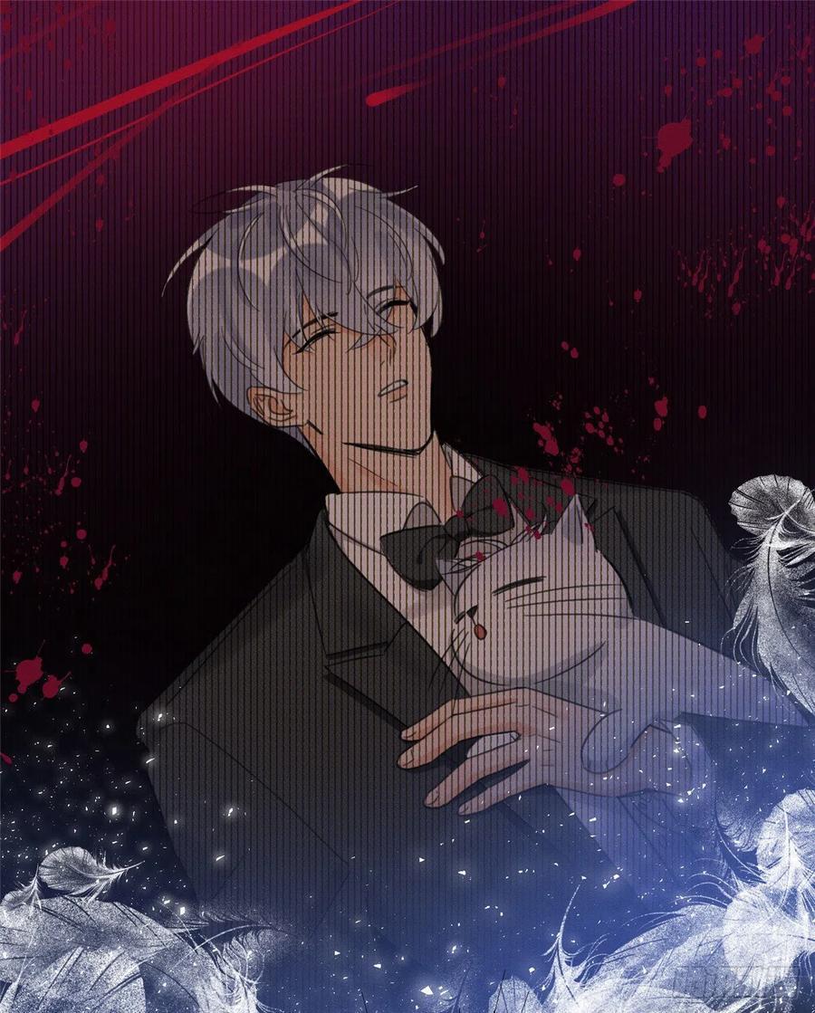 Tengo que trabajar duro para ser un gato hoy! - capitulo 2 manhwa