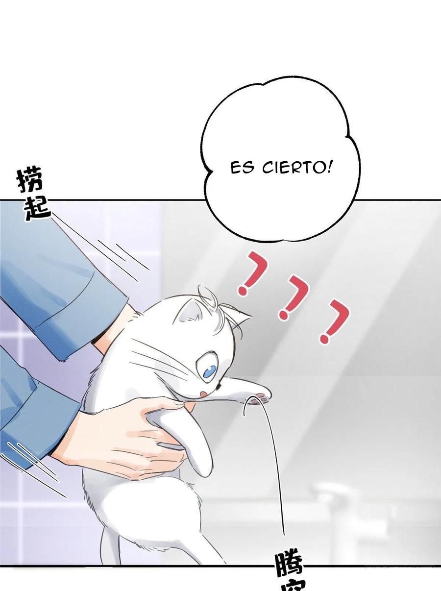 Tengo que trabajar duro para ser un gato hoy! - capitulo 2 manhwa