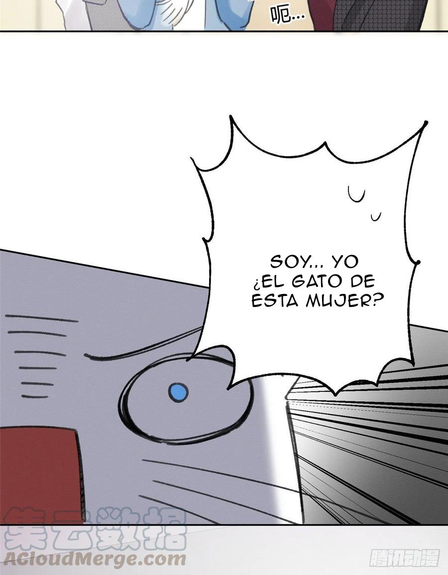 Tengo que trabajar duro para ser un gato hoy! - capitulo 2 manhwa