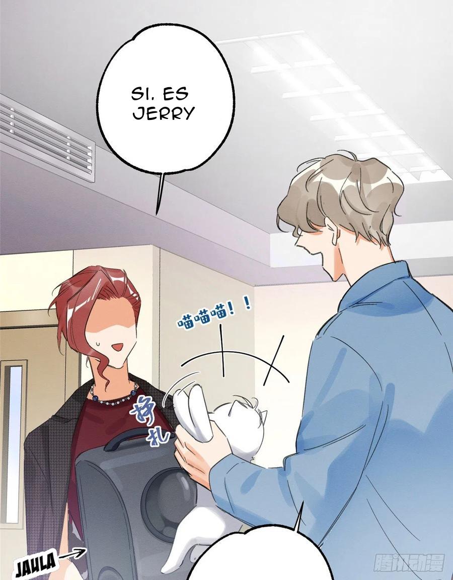 Tengo que trabajar duro para ser un gato hoy! - capitulo 2 manhwa