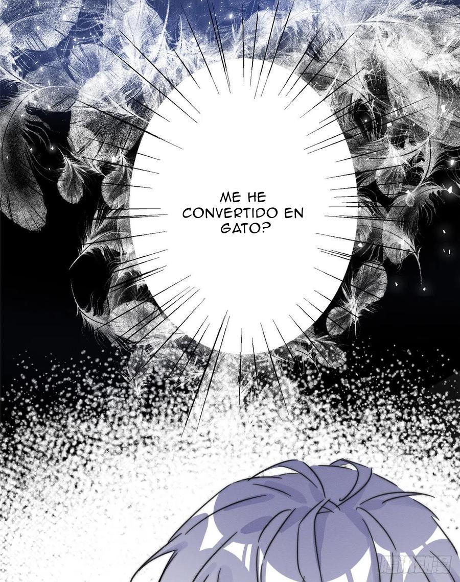 Tengo que trabajar duro para ser un gato hoy! - capitulo 2 manhwa