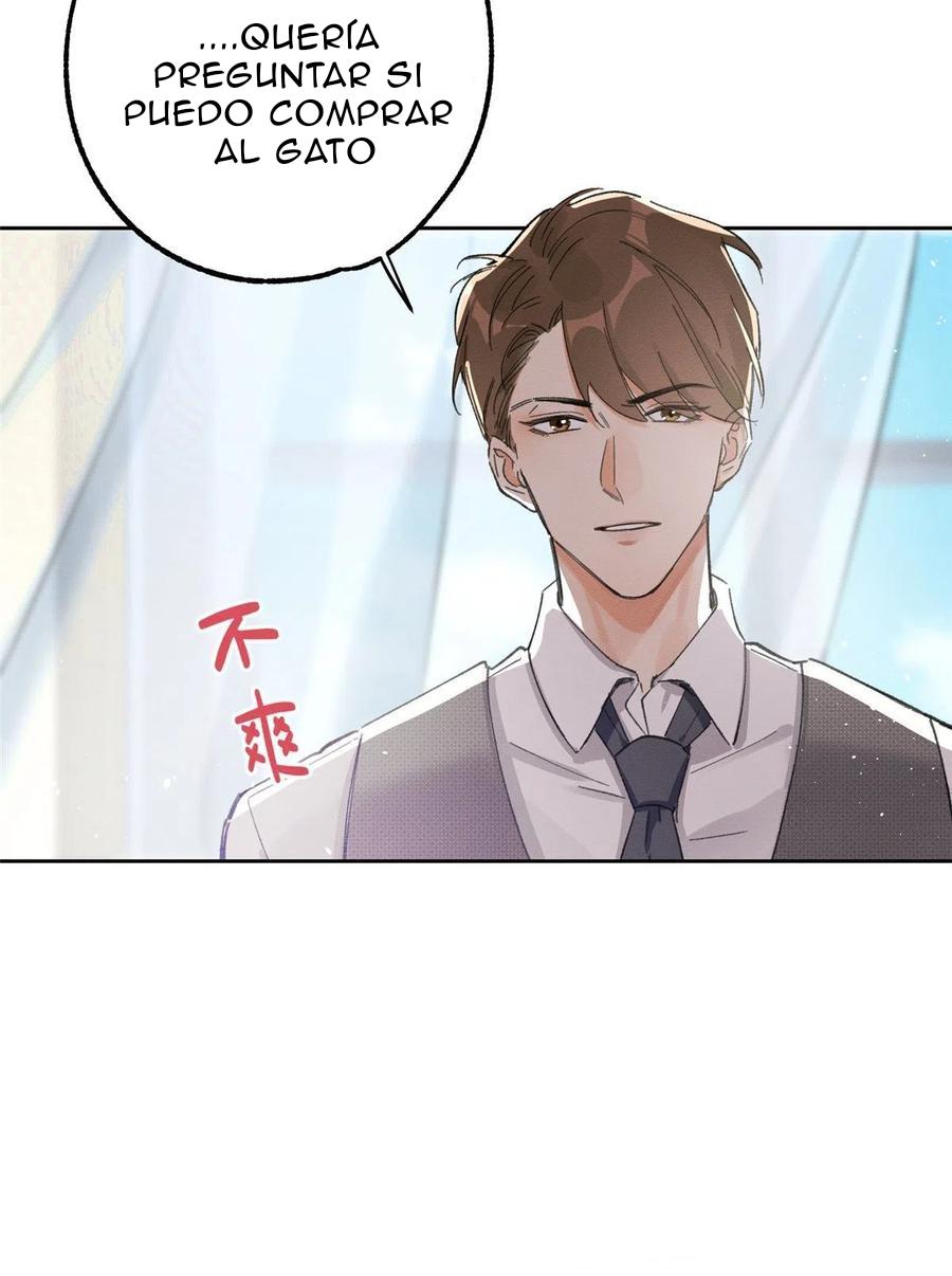 Tengo que trabajar duro para ser un gato hoy! - capitulo 2 manhwa