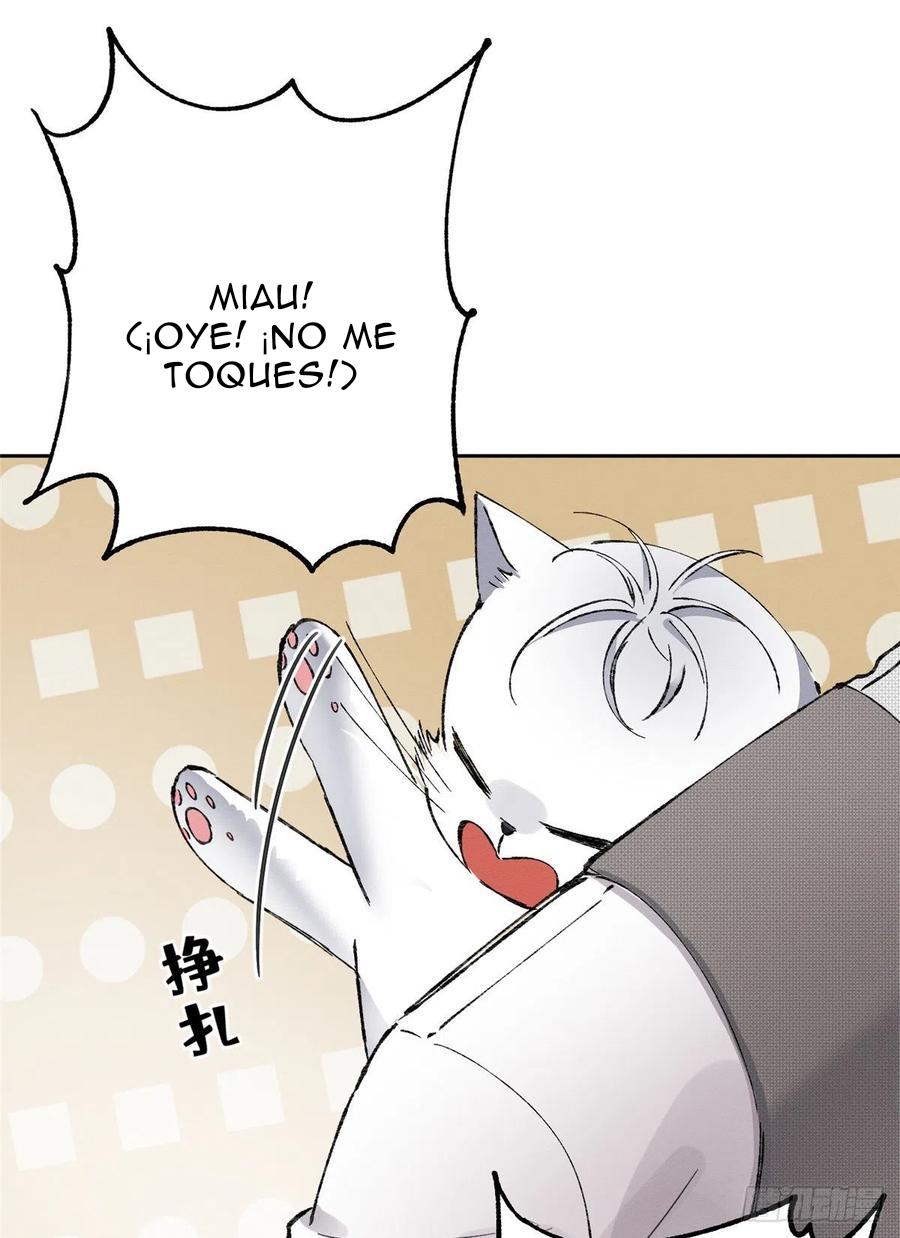 Tengo que trabajar duro para ser un gato hoy! - capitulo 2 manhwa