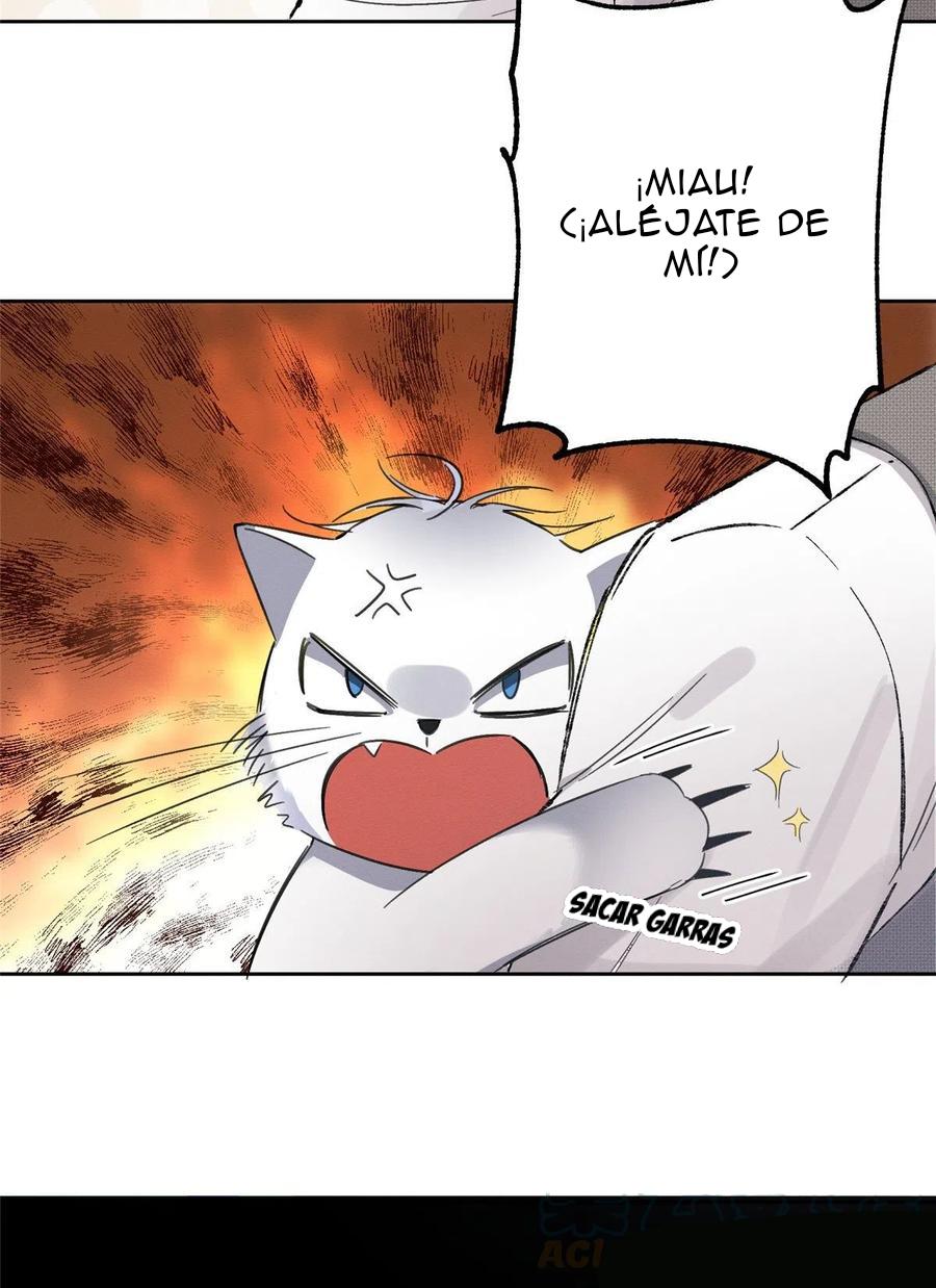 Tengo que trabajar duro para ser un gato hoy! - capitulo 2 manhwa